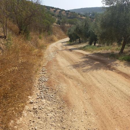 Alojamiento Rural El Yate Montefrío Exterior foto