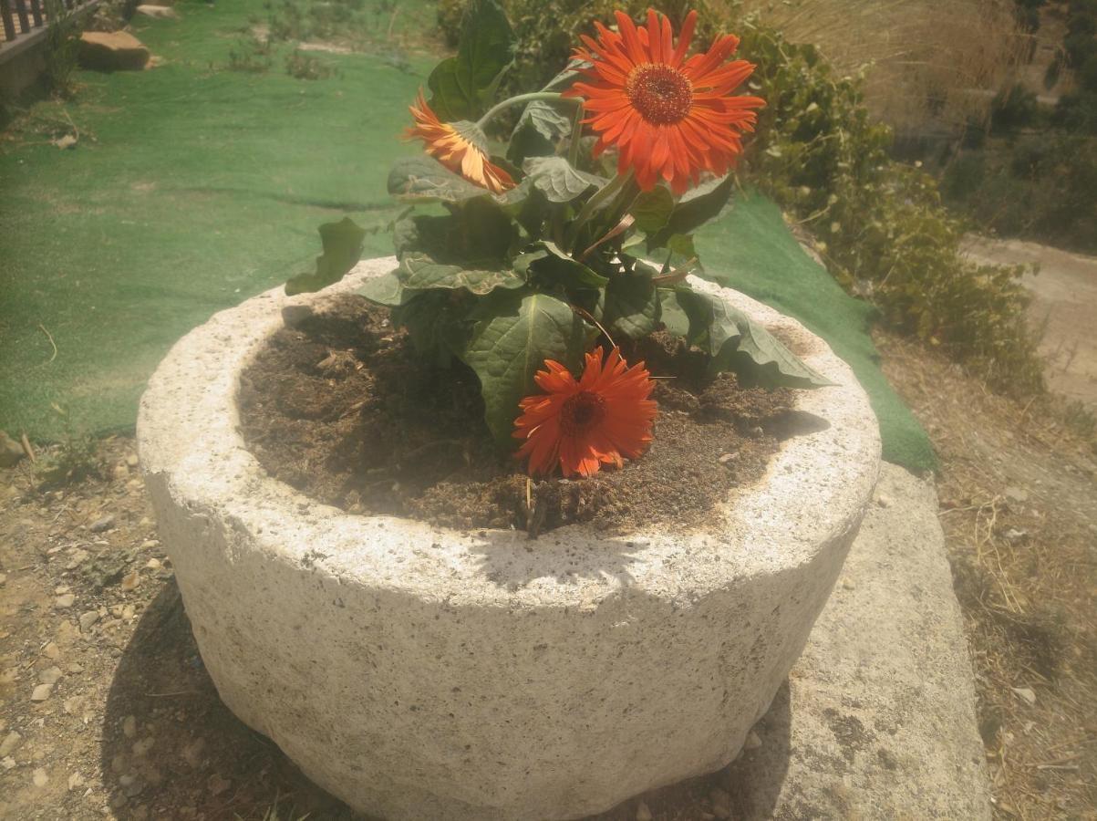Alojamiento Rural El Yate Montefrío Exterior foto